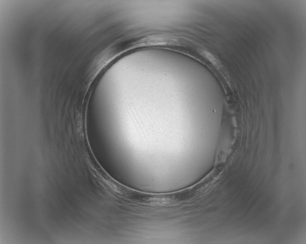 X0000054371465200508191834