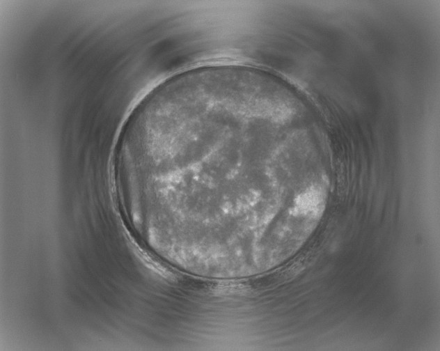 X0000054371466200508191833