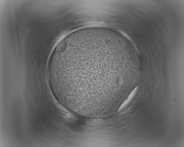 X0000054371467200508191833