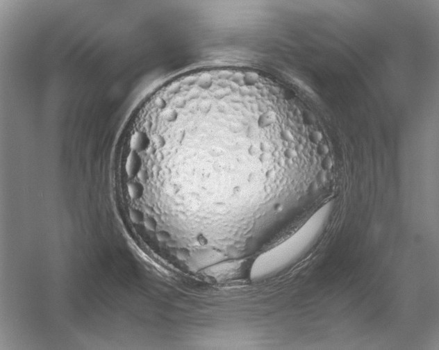 X0000054371471200508191833