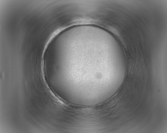 X0000054371472200508191833