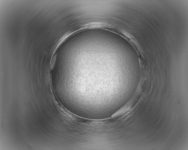 X0000054371473200508191833