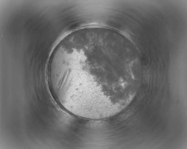 X0000054371474200508191833