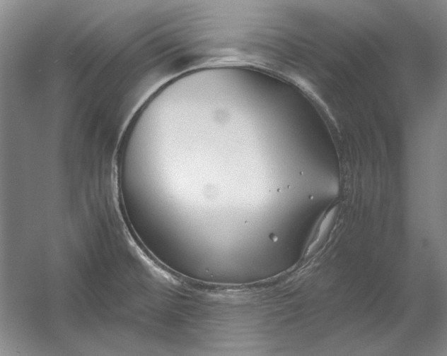 X0000054371476200508191833