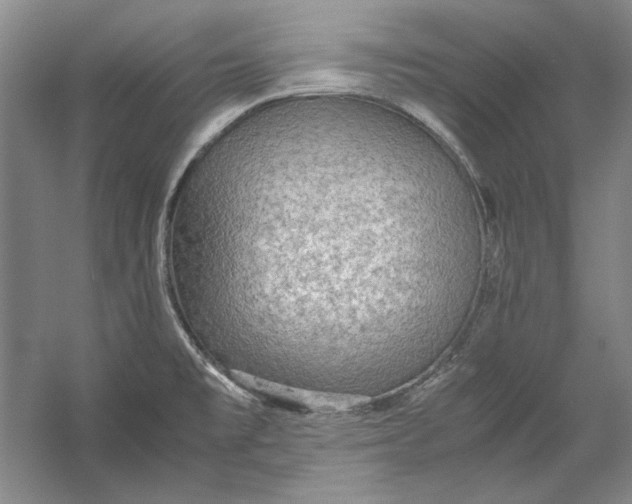 X0000054371477200508191833