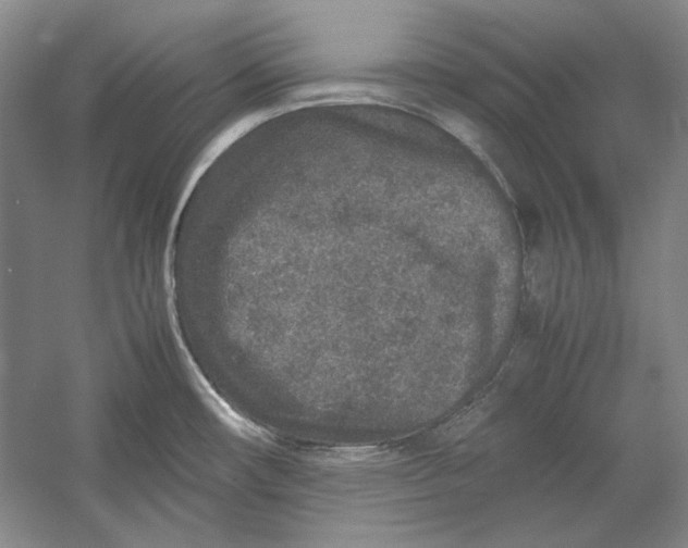 X0000054371482200508191833