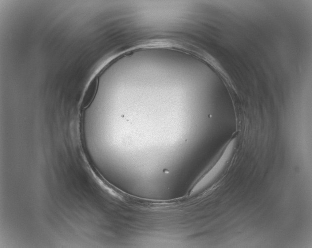 X0000054371484200508191833