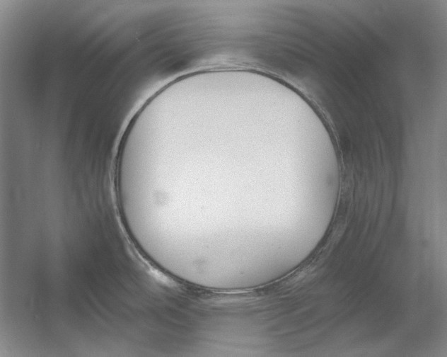 X0000054371486200508191833