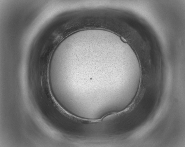 X0000054371487200508191833