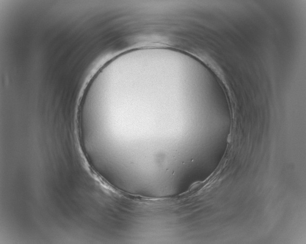 X0000054371488200508191833