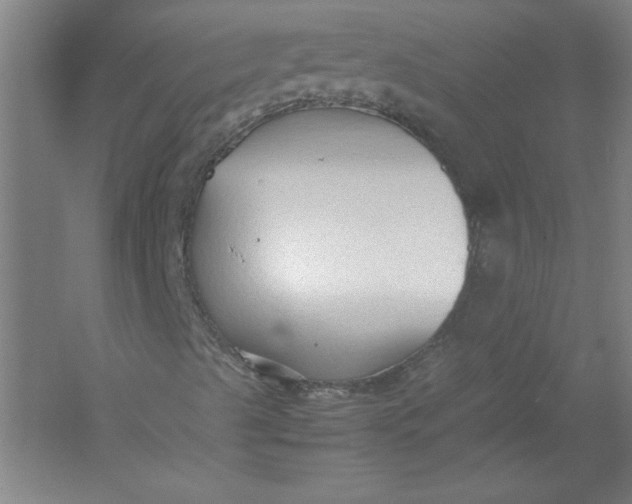 X0000054371489200508191832