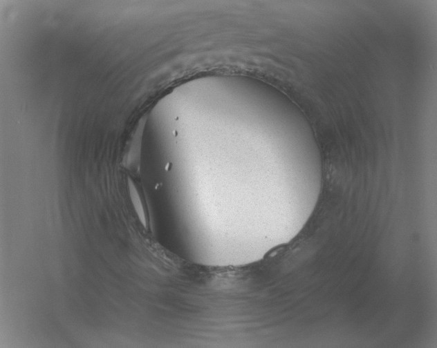 X0000054371490200508191832