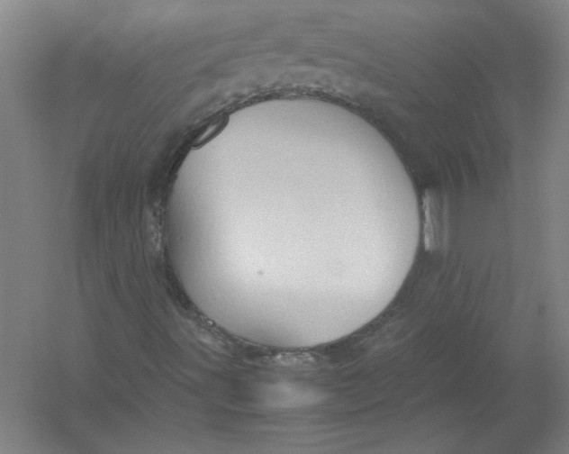 X0000054371491200508191832