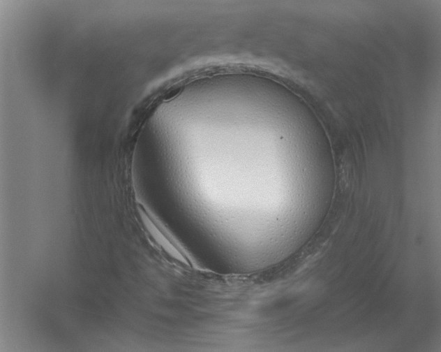 X0000054371494200508191832