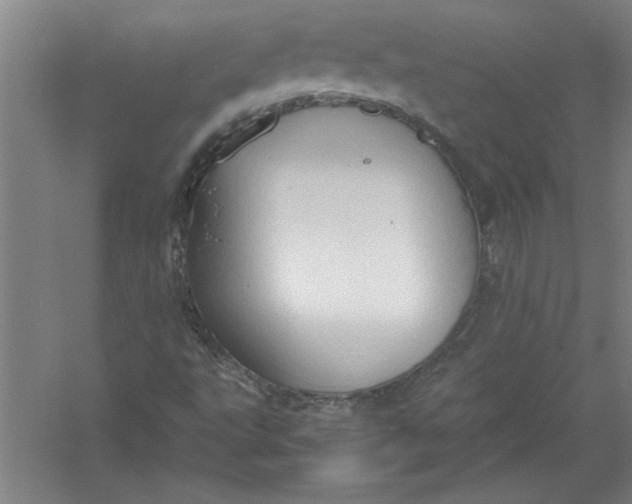 X0000054371495200508191832