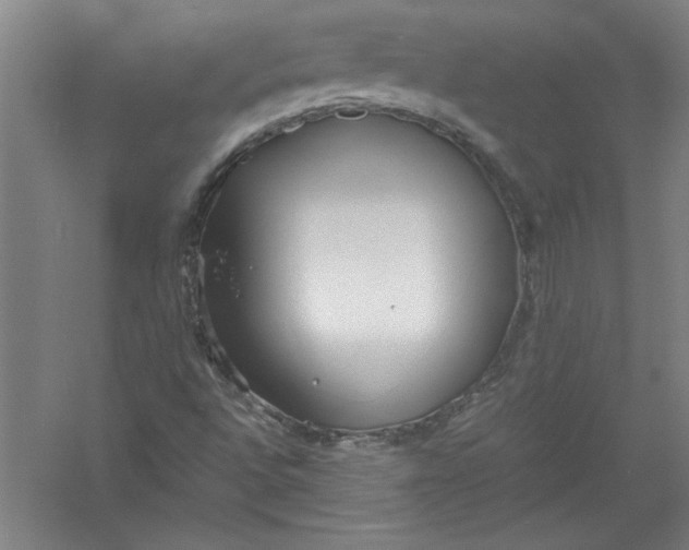 X0000054371496200508191832