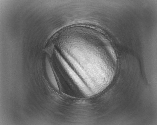 X0000054371497200508191832