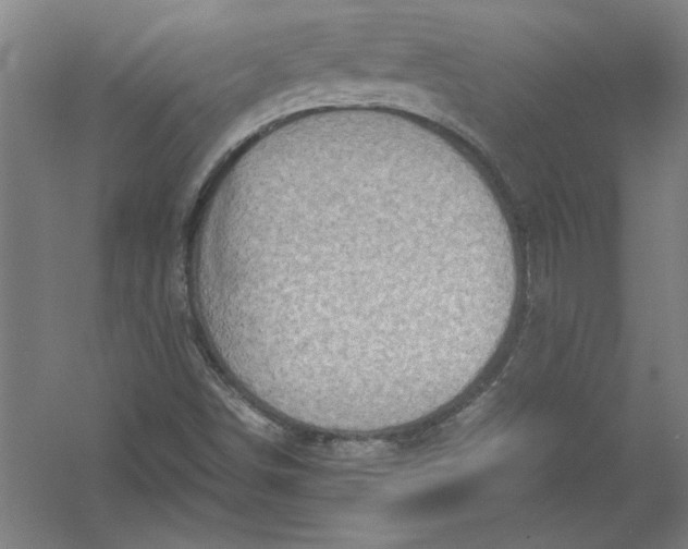 X0000054371498200508191832