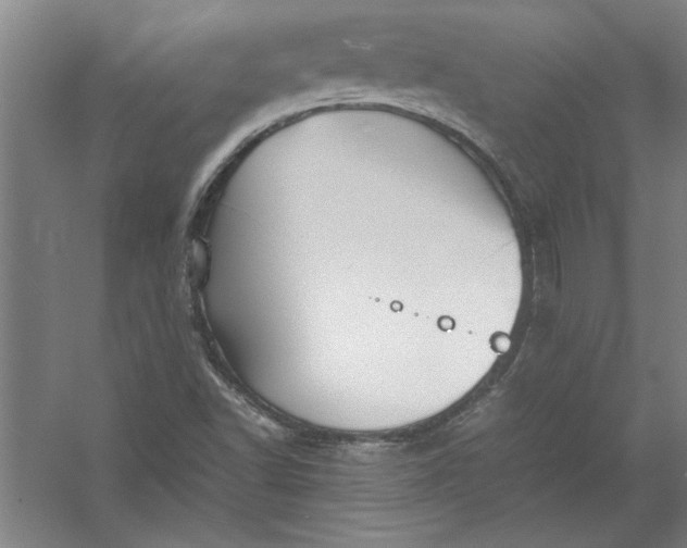 X0000054371502200508191833