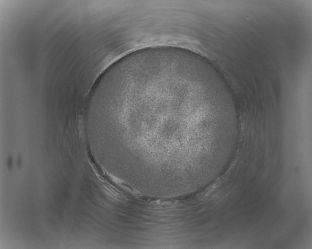 X0000054371505200508191833