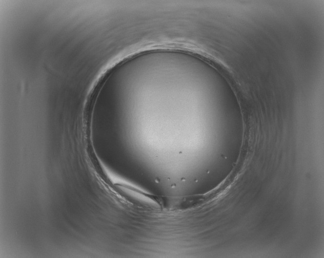 X0000054371506200508191833