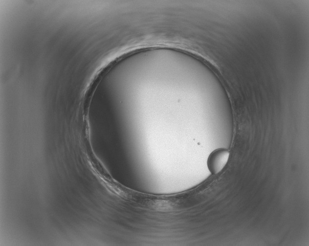 X0000054371507200508191833