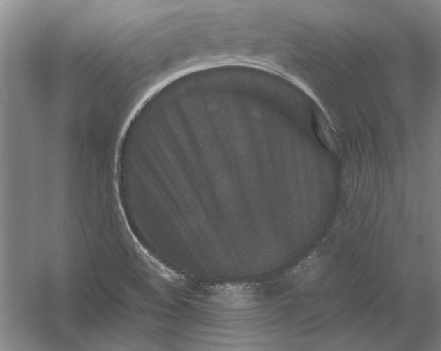 X0000054371508200508191833