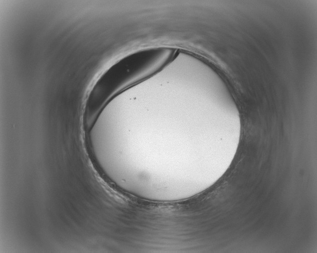 X0000054371512200508191833