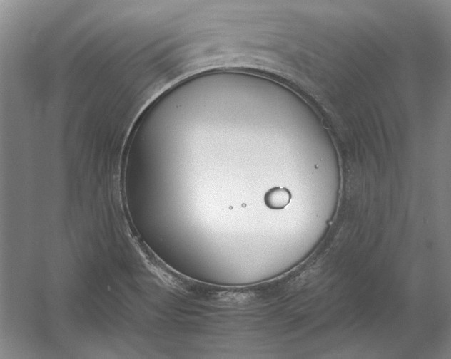 X0000054371513200508191833