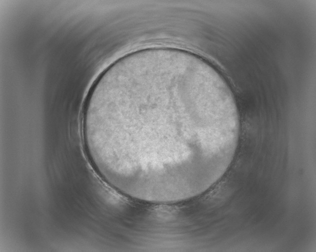 X0000054371514200508191833