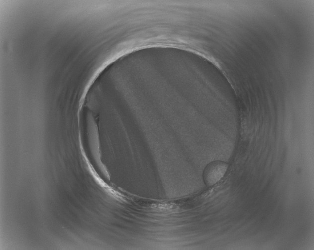 X0000054371515200508191833