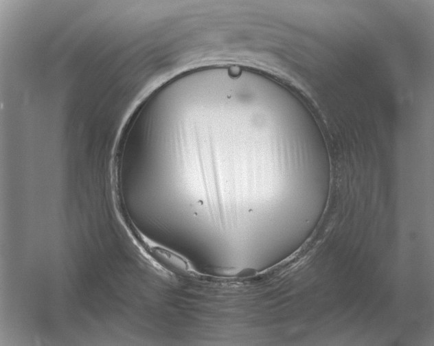 X0000054371517200508191833