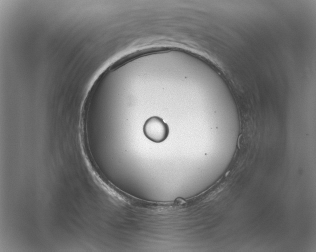 X0000054371518200508191833