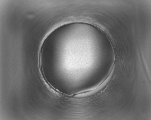 X0000054371520200508191833