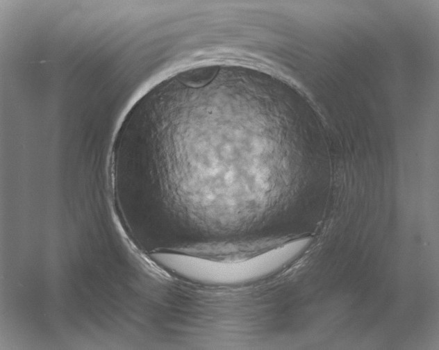 X0000054371522200508191833