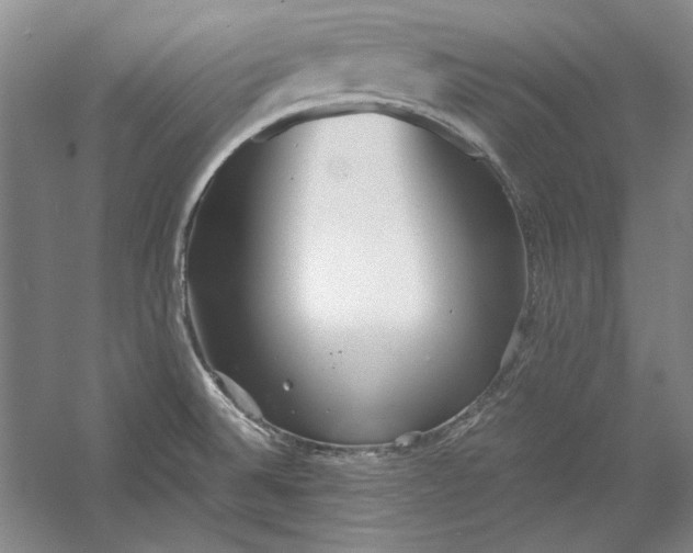 X0000054371524200508191833