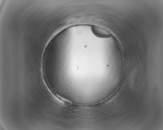 X0000054371525200508191833