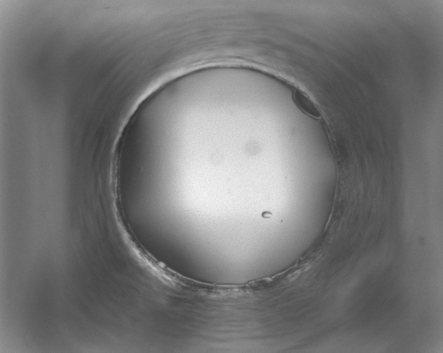 X0000054371526200508191833