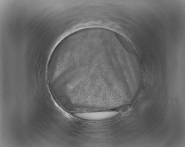 X0000054371527200508191833