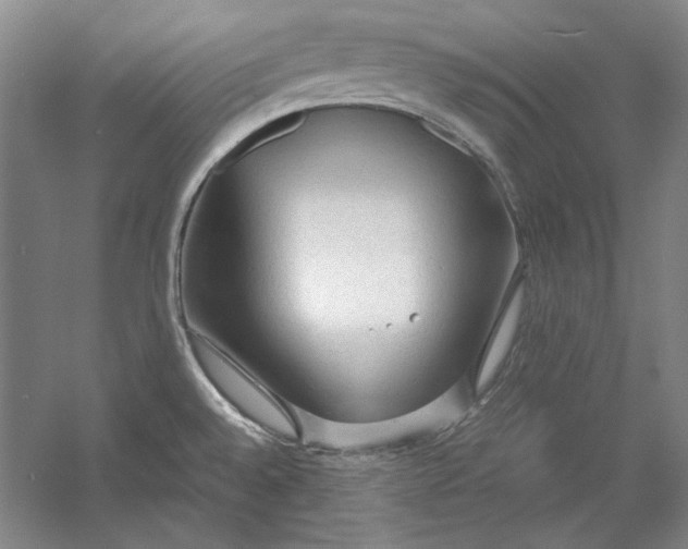 X0000054371528200508191833