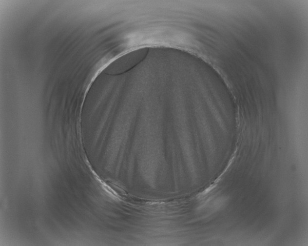 X0000054371529200508191833