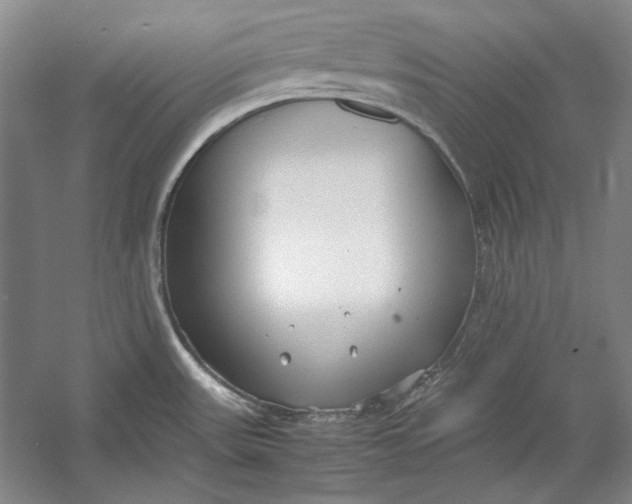 X0000054371531200508191833