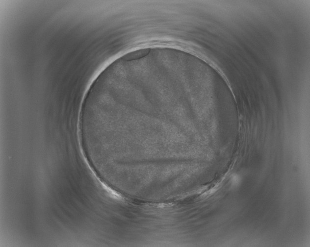 X0000054371533200508191833