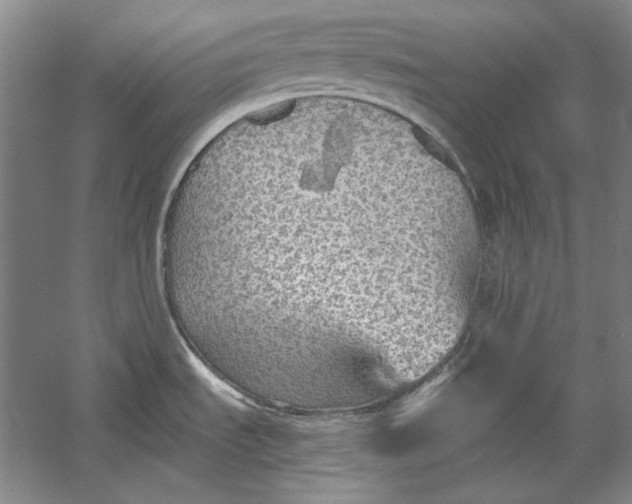 X0000054371535200508191833