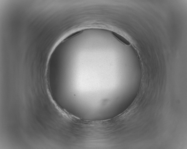 X0000054371536200508191833