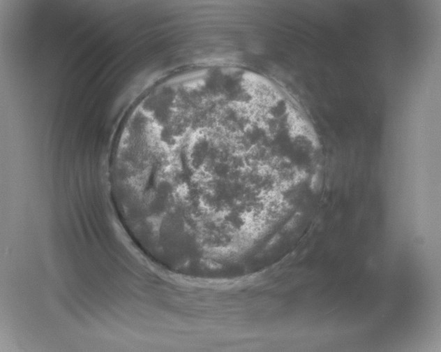 X0000054370002200508262353