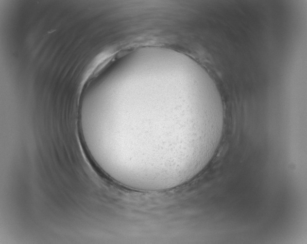 X0000054370003200508262353