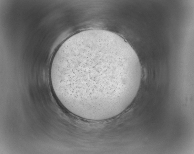 X0000054370004200508262353