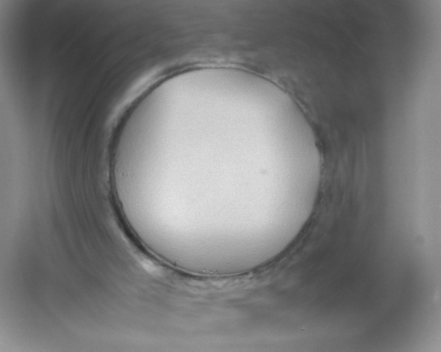 X0000054370005200508262353