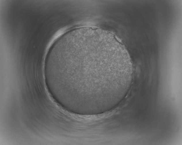 X0000054370006200508262353